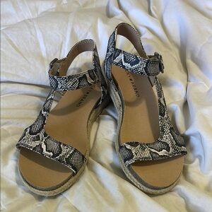 Lucky Brand | Gabrien | Snakeskin | Open toe | Buckled Sandals | Size 6 | NWOT